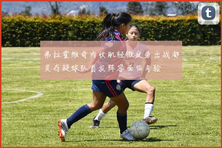 弗拉霍维奇内收肌轻微疲劳出战都灵存疑球队首发阵容面临考验